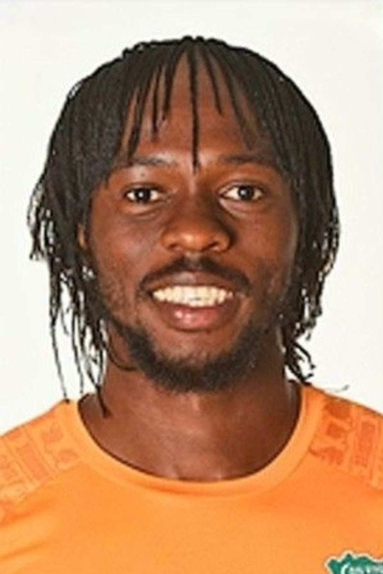 Gervinho portrait image