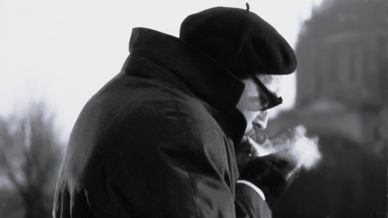 Seventeen Moments of Spring Photo 6