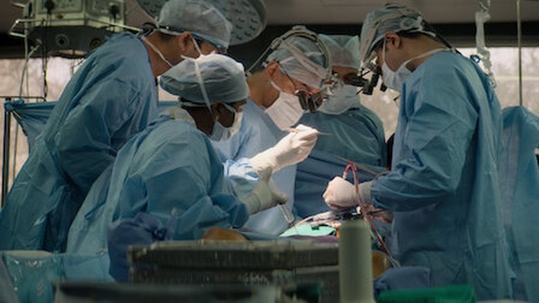 Still image for The Surgeon's Cut season 1 episode 4: Heart & Soul Still image for The Surgeon's Cut season 1 episode 4: Heart & Soul