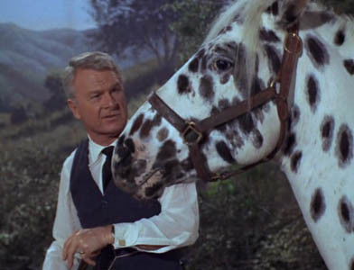 Still image for Green Acres season 1 episode 29: Horse? What Horse? Still image for Green Acres season 1 episode 29: Horse? What Horse?