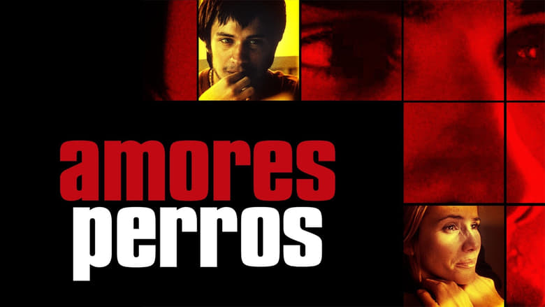 Amores perros – Χαμένες Αγάπες