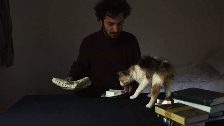 Gallery image from llO1LvGzMWmatpNeZo9SKCoLiYh.jpg