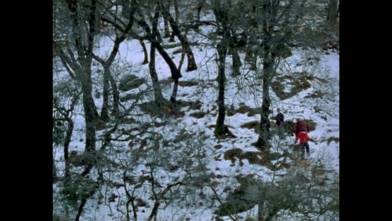 Gallery image from llYMpmHZqdIJR2bmDLevS8rrzpY.jpg