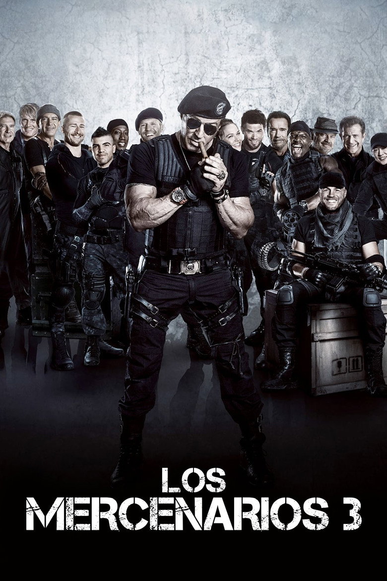 Póster la Película