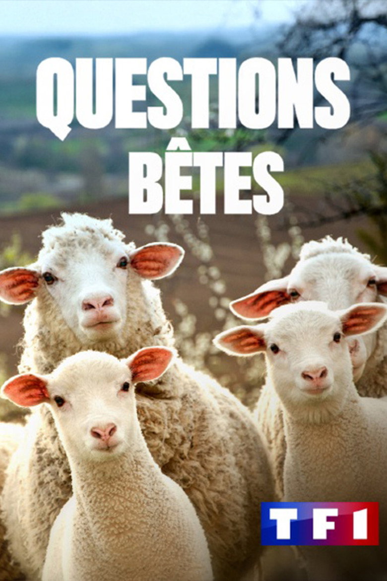 Official poster for Questions bêtes !