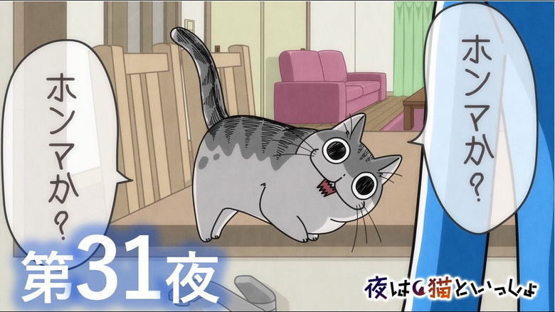 Still image for Nights with a Cat season 1 episode 31: Night 31: My Cat Only Says Words I Haven't Taught Him