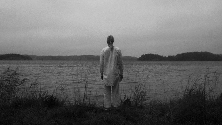 Gallery image from lmpvkSewW55MEB0TVZwo2EB4fnz.jpg
