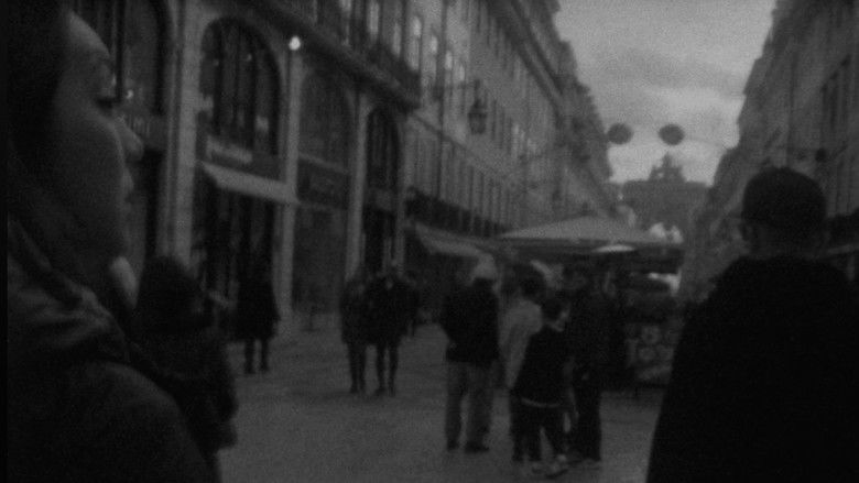 Gallery image from lmv4M9SigEGtSUjuD7kEW31k2K4.jpg