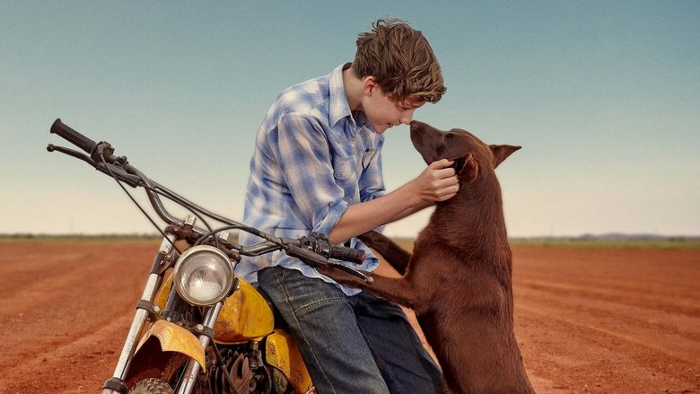 Voir Blue, mon chien d'Australie en streaming vf gratuit sur streamizseries.net site special Films streaming