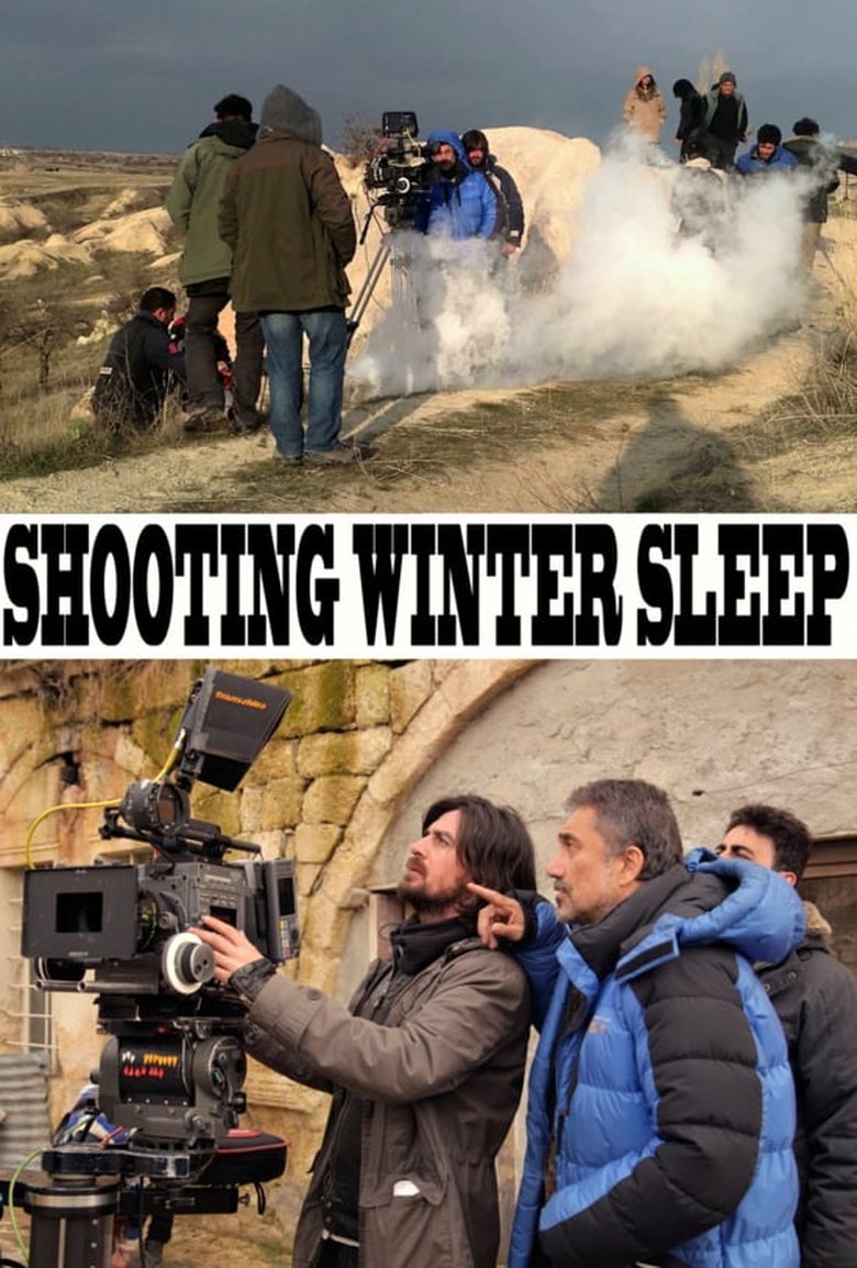 A Long Cold Winter main poster