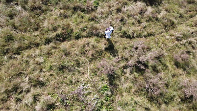 Imatge de El Internauta