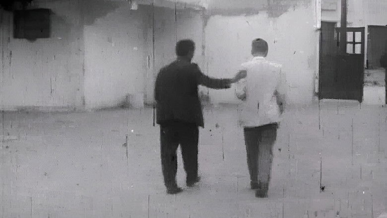 Gallery image from lojEQM7sGtaCYKAPpt1XOcgiUzD.jpg