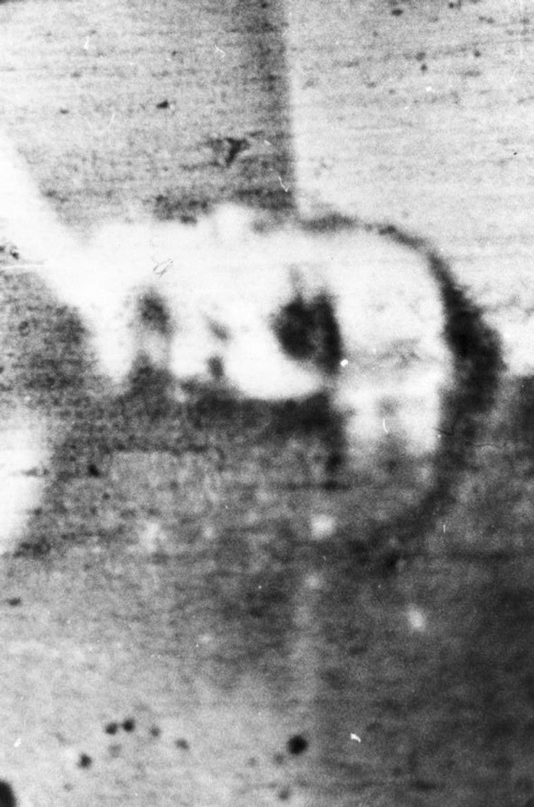 Imatge de Mare's Tail