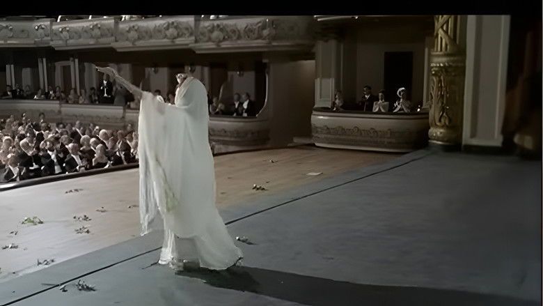 Image d'arrière-plan 2 du film Amélia