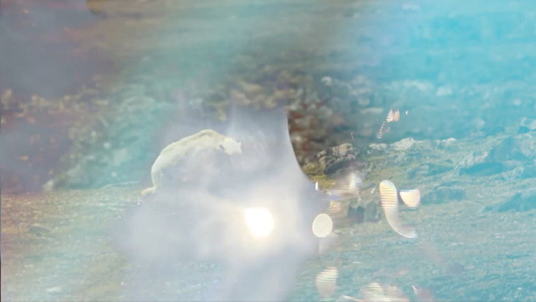 Project: Earth galeri 1