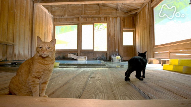 Still image for Mitsuaki Iwago's World “Cats” Travelogue season 1 episode 117: Kushiro Tokachi Still image for Mitsuaki Iwago's World “Cats” Travelogue season 1 episode 117: Kushiro Tokachi