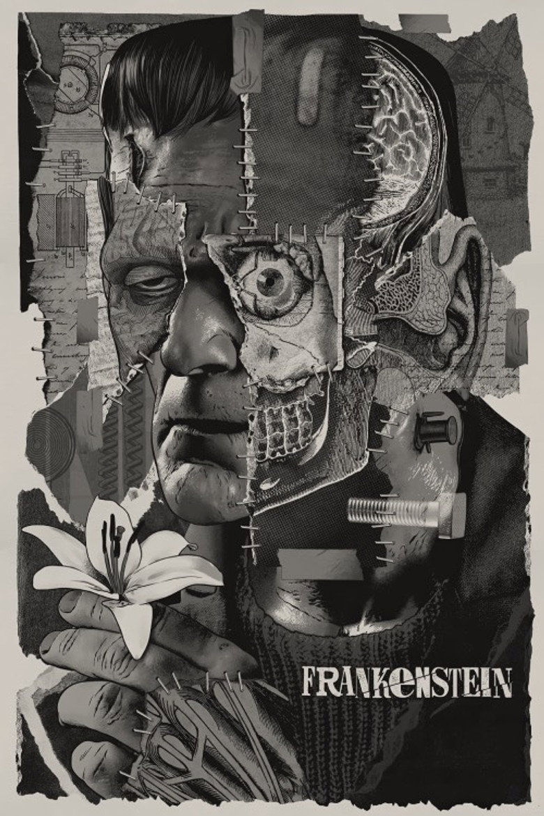 Imatge de Frankenstein