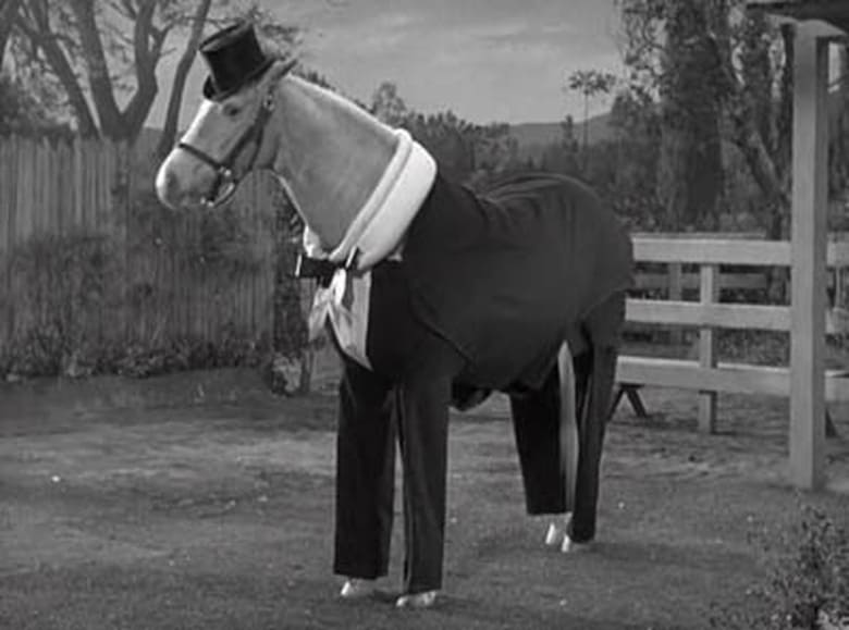 Mister Ed Season 3 Episode 23