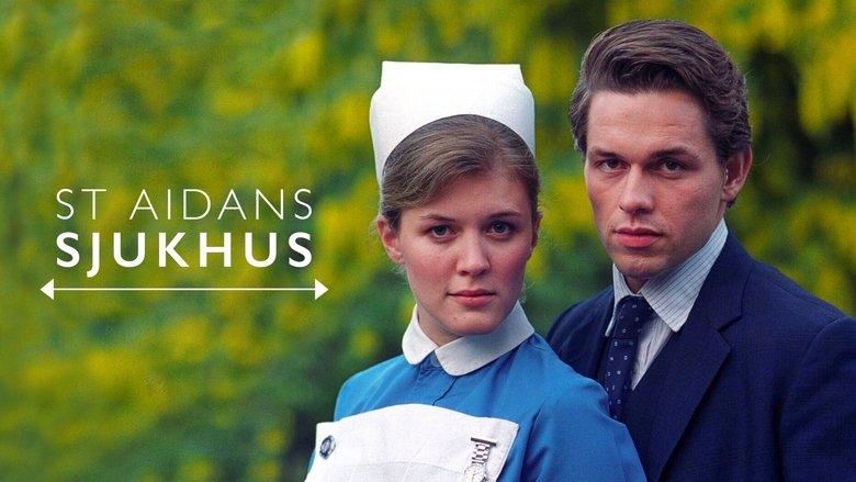 Gallery image from lqzz9o29bRJdvpHAs5BbVRVFJys.jpg