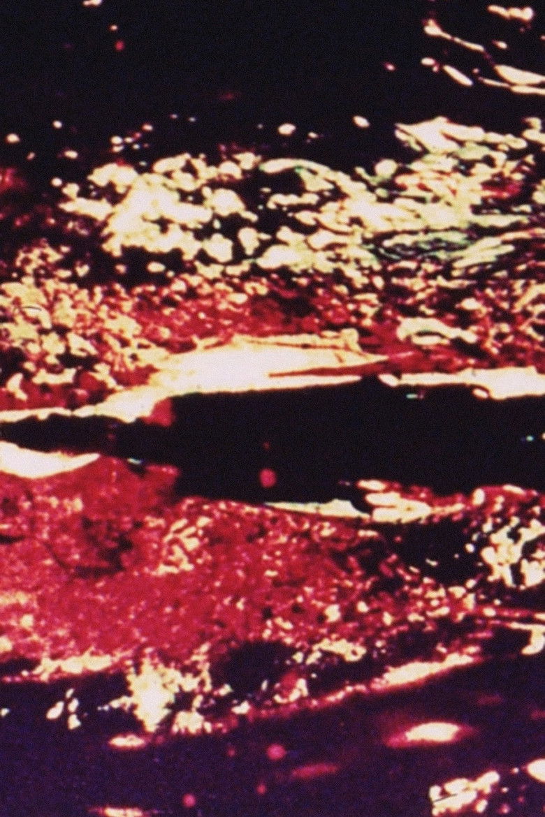 Imatge de Never a Foot Too Far, Even