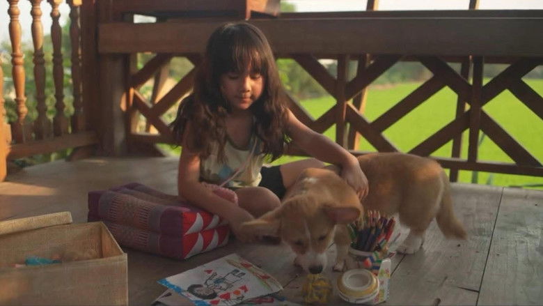 Imatge de บ๊อก บ๊อก โบ้