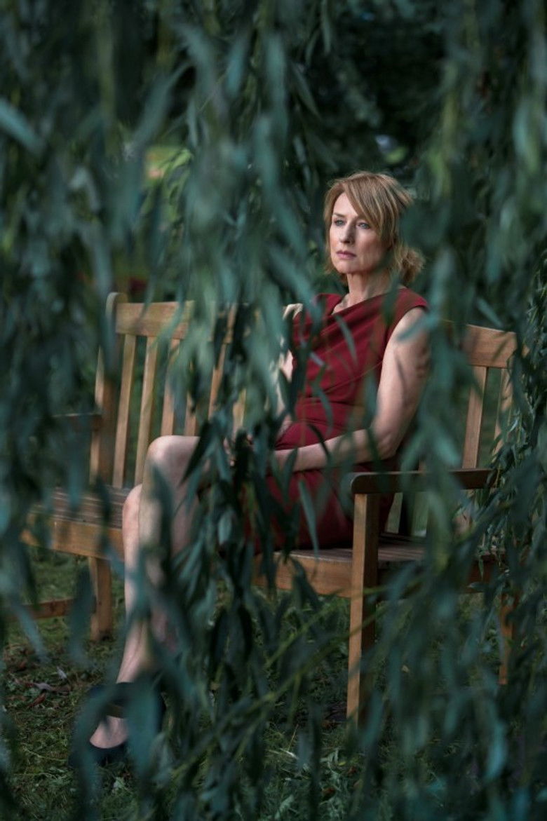 Imatge de Die vermisste Frau