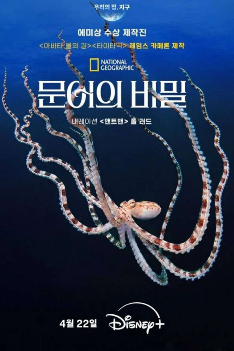 문어의 비밀
