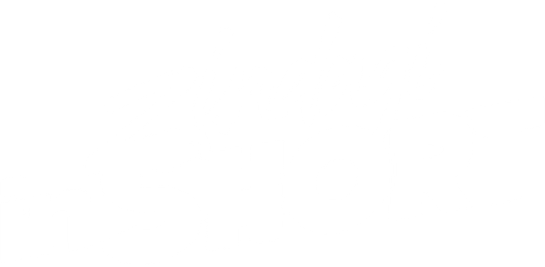 Zindagi inShort