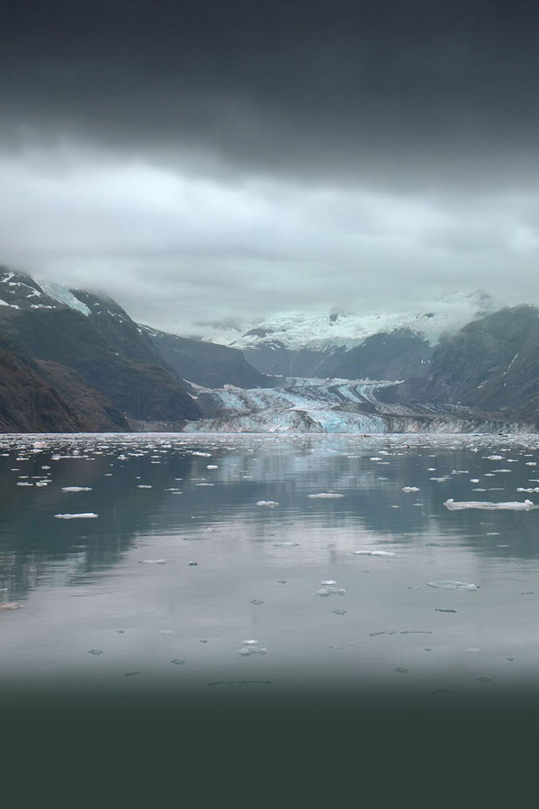Alaskan Shorts