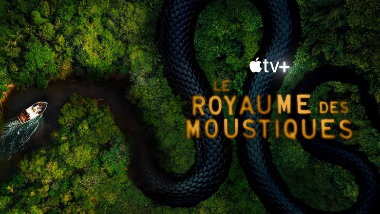 Gallery image from lsuj07Th6m1sCY3GQ8FyZhBKT2q.jpg