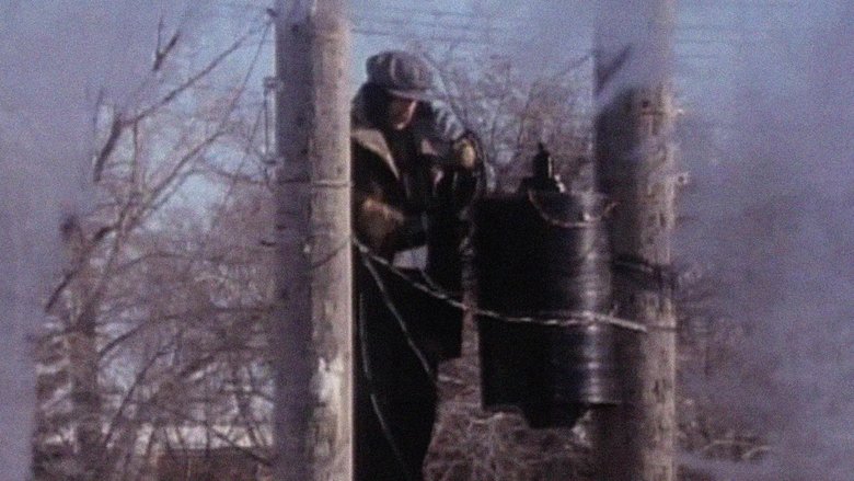 The Great Electrical Revolution (1990)