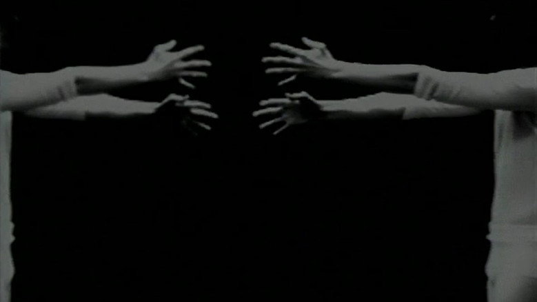 Environmental Symmetry — scene 1