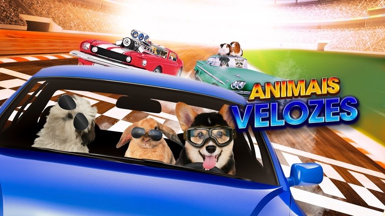 Fast and Furriest (2017)