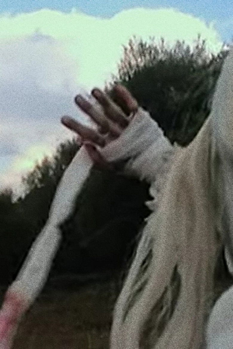 Imatge de 电子脉络