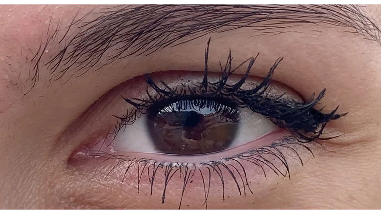 Imatge de Eye of the Creator