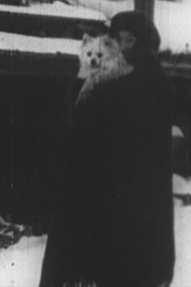 雪国 (1939)