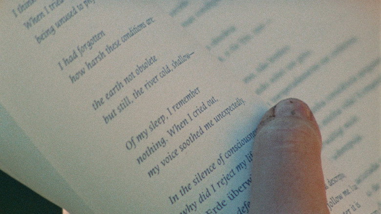 Imatge de Tarde no Planeta