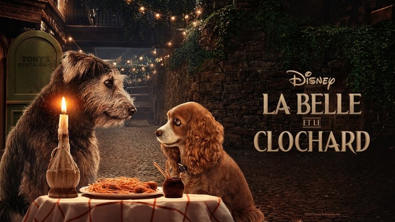 Luoxsqq1goea0xobwwec0v8rrzy