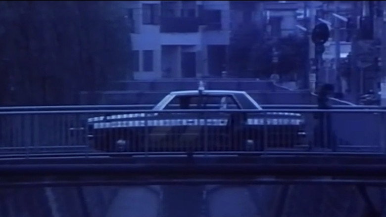 scenes 11
