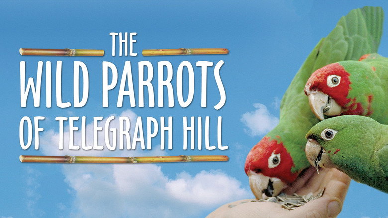 The Wild Parrots of Telegraph Hill Photo 7