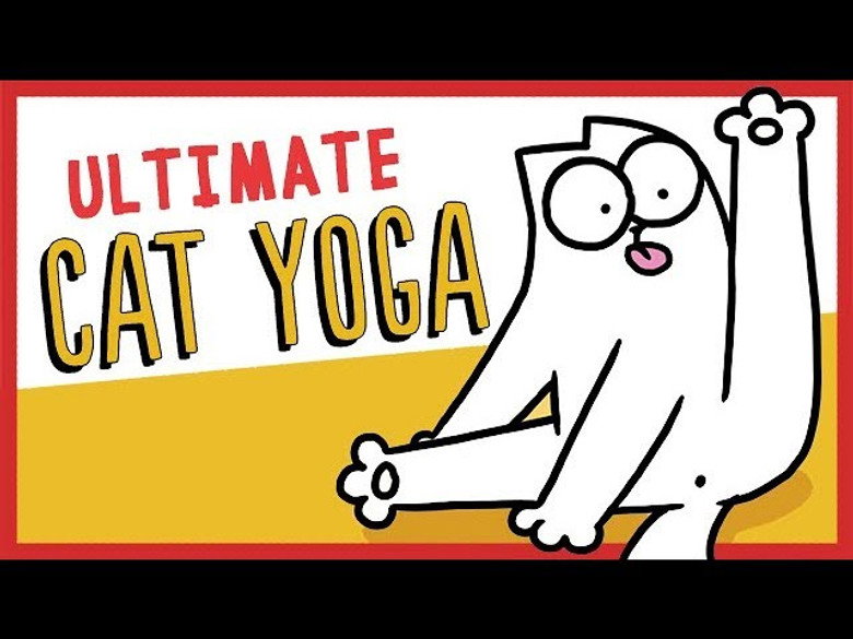Guide to Cat Yoga