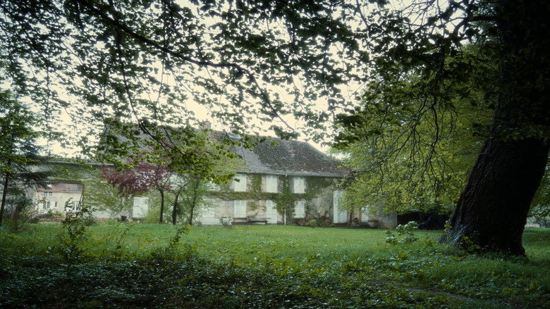 Film backdrop