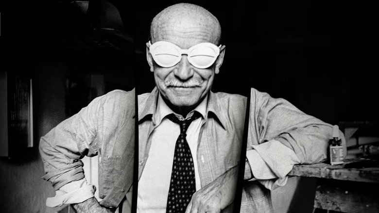 Lucio Fontana - The Final Cut poster
