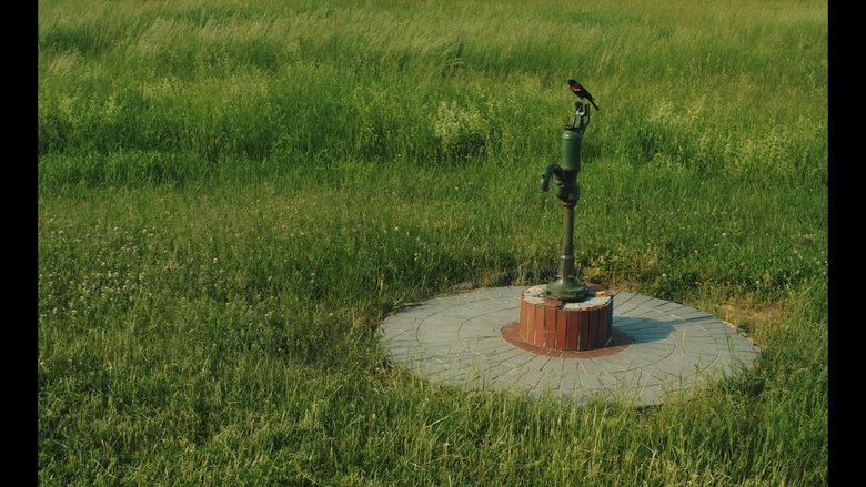 Gallery image from lxTGOzCFOSohKFXL9XNoQzloWQC.jpg