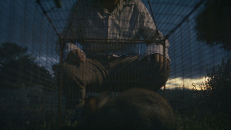 Gallery image from lxUvCtrQgACje1hRHQeviH4zDCD.jpg