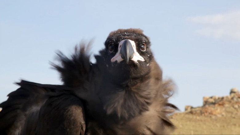 Gallery image from lxaG82ueN53PIXOupJgk2wFzAcP.jpg