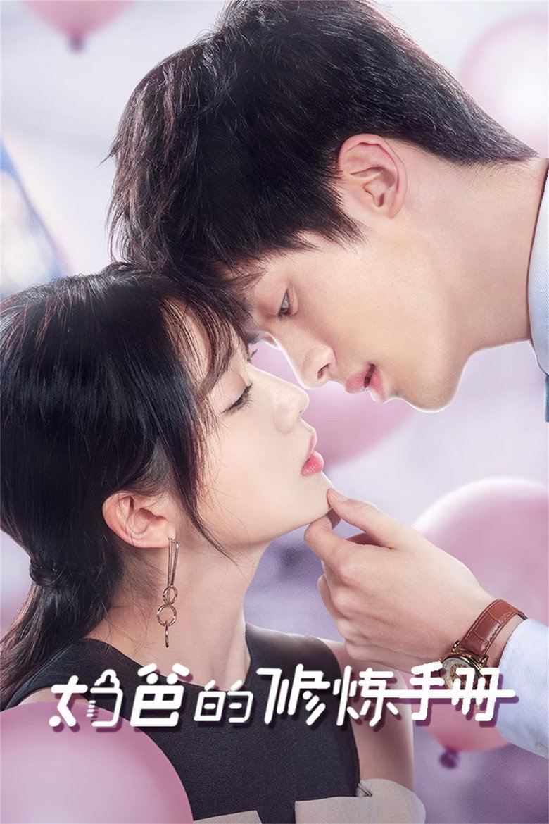 Official poster for 奶爸的修炼手册