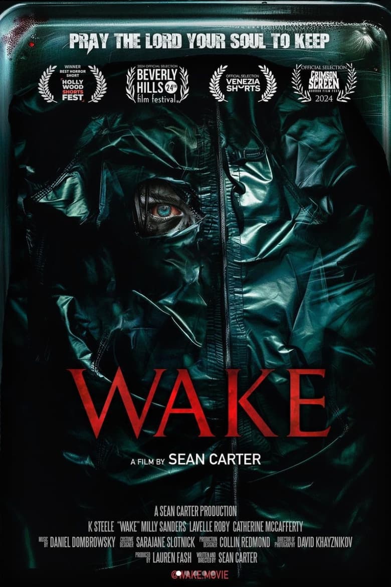 Wake main poster