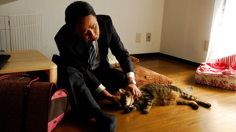 Still image for Nekonade season 1 episode 9: Are You Pleased When an Old Friend Says You Haven’t Changed At All? Still image for Nekonade season 1 episode 9: Are You Pleased When an Old Friend Says You Haven’t Changed At All?