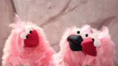 Still image for Uau Ka Kau season 1 episode 10: Episode 10 Still image for Uau Ka Kau season 1 episode 10: Episode 10